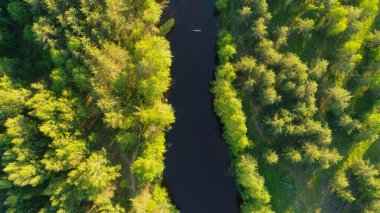 Nehir, her iki tarafında ağaçlar olan bir ormandan geçiyor. Su sakin ve berrak, ağaçlar gür ve yemyeşil. Huzurlu ve huzurlu bir sahne.