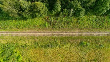 Tren yolu, ön planda yemyeşil bir alan ile uzak mesafede gösterilir. Huzur ve sükunet kavramı, tren yolu ve çevreleyen yeşillik bir huzur yaratıyor.