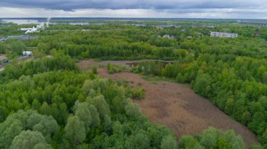 Arka planda birkaç bina bulunan yemyeşil bir orman. Gökyüzü bulutlu ve ağaçlar uzun.
