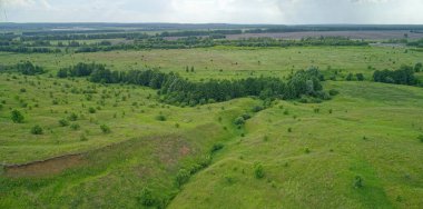 İçinden küçük bir nehir akan büyük bir çim tarlası. Çimler yeşil ve gökyüzü mavi. - Evet. Nizhny Novgorod
