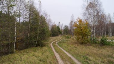İki tarafında ağaçlar olan bir ormanda yol. Yol toprak ve yakınlarda küçük bir dere var. Ağaçlar çoğunlukla yeşildir ama bazıları sarı ve kahverengidir. Nizhny Novgorod