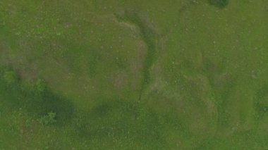 yeşil çimen alanı hava görüntüsü