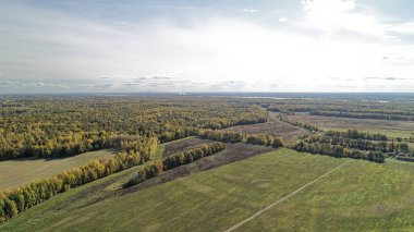 Ağaçlar ve otlarla dolu büyük bir tarla. Gökyüzü bulutlu ve güneş parlıyor. Nizhny Novgorod bölgesinde sonbahar ormanı. Rusya.