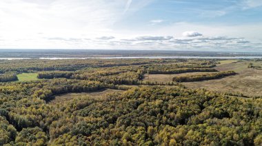 İçinden nehir akan büyük bir orman. Gökyüzü açık ve güneş parlıyor. Nizhny Novgorod bölgesinde sonbahar ormanı. Rusya.