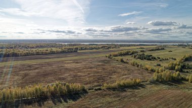 Geniş, birkaç ağacın etrafa saçıldığı açık bir alan. Arka planda bir su kütlesi var. Nizhny Novgorod bölgesinde sonbahar ormanı. Rusya.