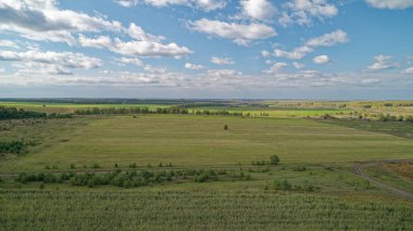 Uçsuz bucaksız, yemyeşil çimen tarlaları, manzaranın her tarafına dağılmış birkaç ağaç. Gökyüzü çoğunlukla temiz. Nizhny Novgorod bölgesinde sonbahar ormanı. Rusya.