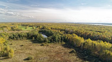İçinden nehir akan büyük bir orman. Gökyüzü çoğunlukla birkaç bulutla temizdir. Nizhny Novgorod bölgesinde sonbahar ormanı. Rusya.