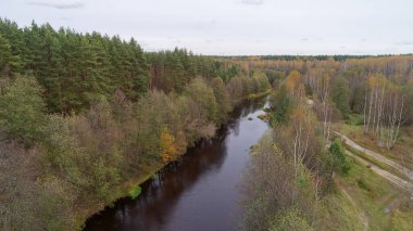 River Linda runs through a forest with trees on both sides. The water is brown and the sky is cloudy. Nizhny Novgorod region of Russia. clipart