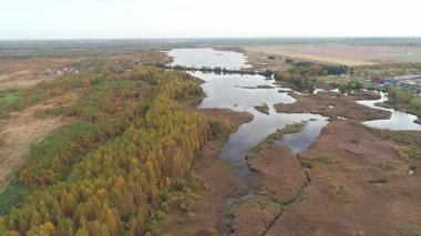 Ormana ve nehre bak. hava aracı görünümü.
