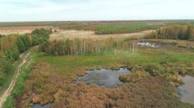 Sonbahar manzarası. Güzel bir orman ve nehir manzarası.