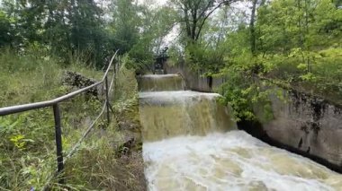 Volga Nehri 'ne akan buhar türbininin sızıntısı. Su kahverengi ve bulanıktır ve akarsu ağaçlarla çevrilidir. Huzurlu ve huzurlu bir sahne.