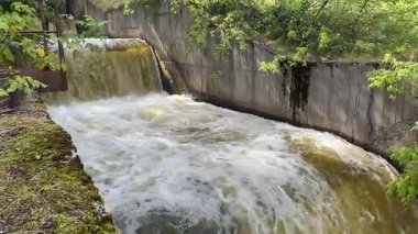 Küçük bir su akıntısı beton bir duvardan aşağı akıyor. Su kahverengi ve bulanık ve beton duvar yosunla kaplı. Volga Nehri 'ne akan buhar türbininin sızıntısı.