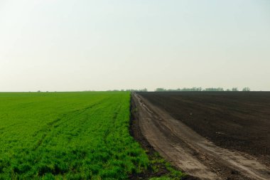 İçinden toprak yol geçen bir tarla. Yol tarlanın sağ tarafında.