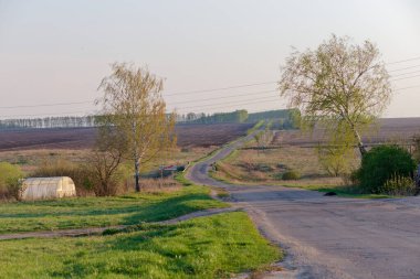 Üzerinde tabela olan bir yol. Yol bomboş. Yolun iki tarafında da ağaçlar var.