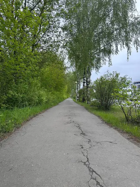 İki tarafında ağaçlar olan bir yol. Yol bomboş. Yolda hiç insan ya da araç yok.