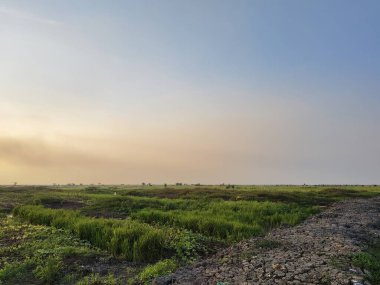 Ağaçlı ve ağaçlı güzel bir manzara.