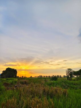 Tarlada güzel bir gün batımı