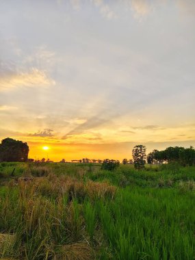Gölün üzerinde güzel bir gün batımı