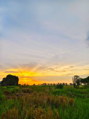 Tarlada güzel bir gün batımı