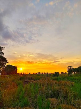Tarlada güzel bir gün batımı