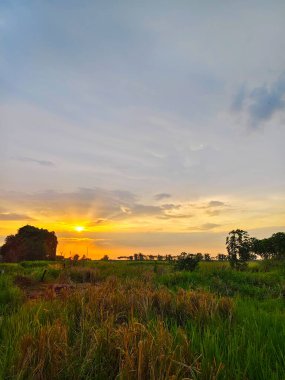 Kırsalda güzel bir gün batımı