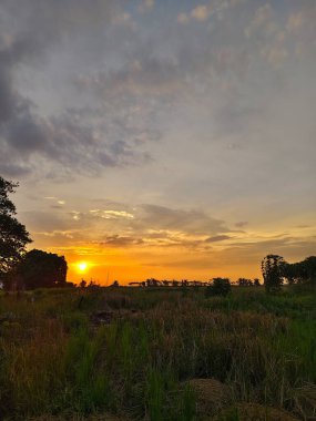 Tarlanın üzerinde güzel bir gün batımı
