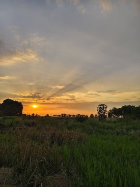 Tarlanın üzerinde güzel bir gün batımı