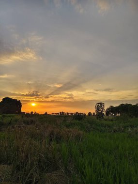 Tarlanın üzerinde güzel bir gün batımı