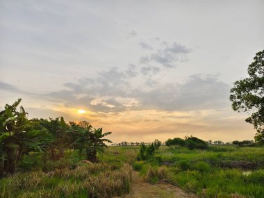 Tarlada güzel bir gün batımı