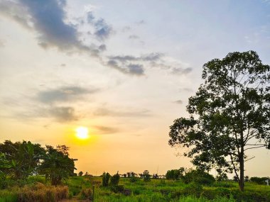 Ormanda güzel bir gün batımı