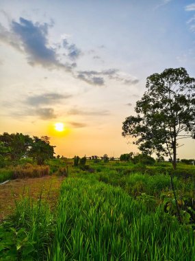 Parkta güzel bir gün batımı