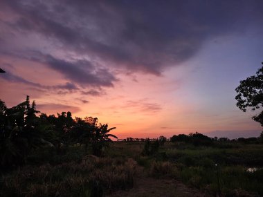 Ormanda güzel bir gün batımı