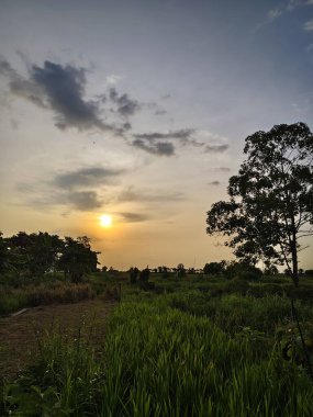 Gölün üzerinde güzel bir gün batımı