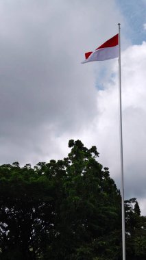 Ağacın tepesinde kırmızı kurdele olan Endonezya bayrağı