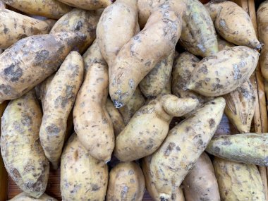 Tatlı patates, yakın plan tatlı patatesler pazarda görünüyor.