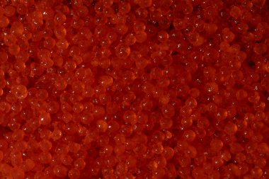 Kırmızı havyar yakın çekim makro fotoğraf arkaplan fotoğraf kırmızı havyar somon lezzetli
