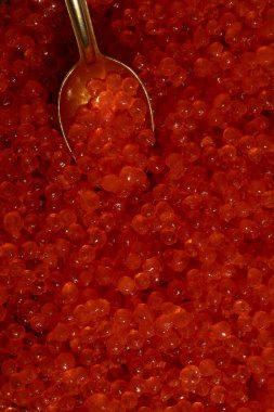 Kırmızı havyar yakın çekim makro fotoğraf arkaplan fotoğraf kırmızı havyar somon lezzetli