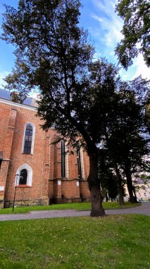 Çek Cumhuriyeti 'nin Güneşli Gününde Kilise ve Ağaçlar
