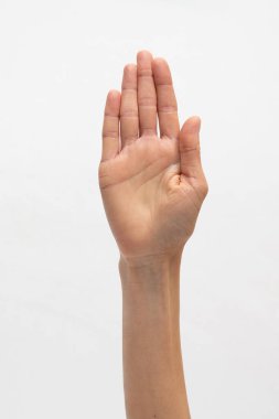 Beyaz Arkaplan yakın plan fotoğraf makro görünümünde İnsan Eli Önden Görünümünü Aç