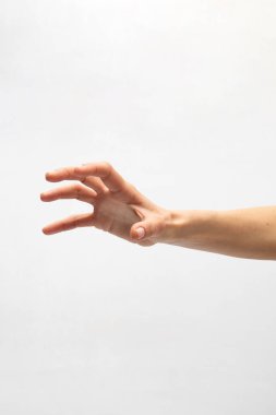El Hareketi Uzanıyor ve Beyaz Arkaplan Yakın plan Fotoğraf Makro Görünümüne Karşı Tutuluyor