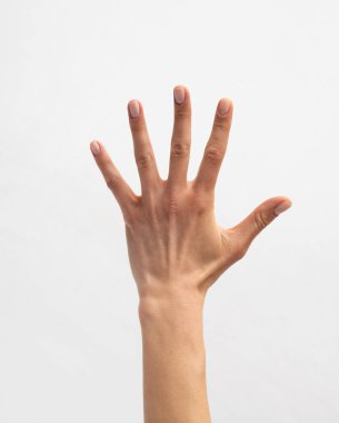 Beş parmaklı bir insan eli, beyaz bir arka plana doğru uzanıyor.