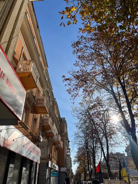 Madrid / İspanya - 0 1 / 1 7 / 2 0 1: Madrid 'in merkezindeki insanlar