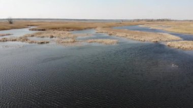 Rive 'de Hava Aracı Görünümü, Yukarıdan Göl Görünümü, Sarı Sonbahar Ağaçlarıyla Nehir, Güzel Sonbahar Doğa Manzarası