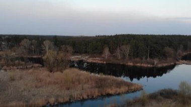 Orman, Kuru Çimen ve Doğal Rezerv Seret ile çevrili Göl Üzerindeki Uçuş