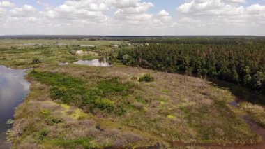 Floodplain Nehri Delta Sonbahar Uçağı Meander Hava Aracı Sandy Kum Alüvyum, Bench Ormanı ve Lowlands Bataklığı, Quadcopter Görünümü Uçan Uçuş Şovu