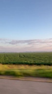 Araba Penceresinden Manzaralı Görüntü, Yumuşak Günbatımı Gökyüzü Altında Sonsuz Alanlar. Huzurlu Yol Gezisi 'nde Soluk Altan Araziler ve Huzurlu Ufuk Altında Gösteriş Yaparken Nefes Kesen Kırsal Arazi