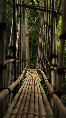 In the Baduy Dalam village, the last bamboo bridge leads to the serene interior. It gracefully spans a crystal-clear river, connecting cultures and nature. clipart