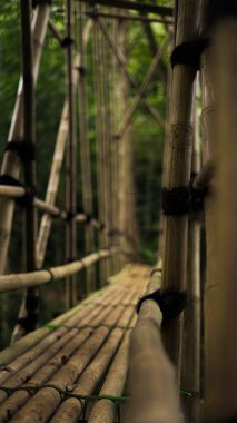 Baduy Dalam köyünde, son bambu köprüsü huzurlu iç kısımlara açılıyor. Kültürleri ve doğayı birbirine bağlayan kristal gibi berrak bir nehri incelikle kaplar..