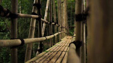 Baduy Dalam köyünde, son bambu köprüsü huzurlu iç kısımlara açılıyor. Kültürleri ve doğayı birbirine bağlayan kristal gibi berrak bir nehri incelikle kaplar..