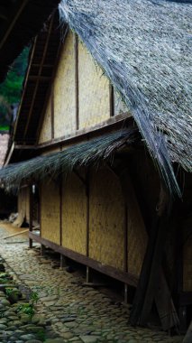 Uzak Baduy köyü yemyeşil ve sık ağaçlarla çevrili gizli bir mücevherdir. Bu huzurlu ortam eşsiz bir kültüre bir bakış sunuyor.,